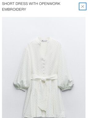 Zara SHORT DRESS WITH OPENWORK EMBROIDERY